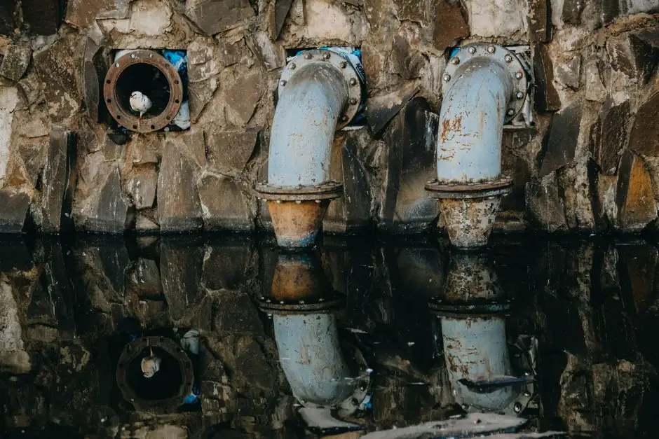 What to expect during a sewer line inspection